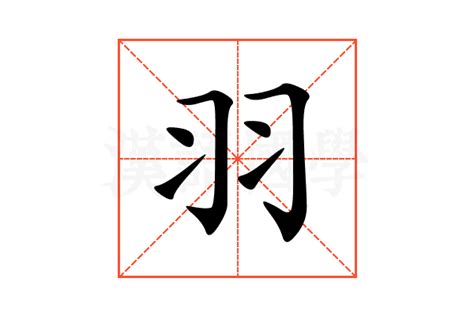 羽 字|羽的解释